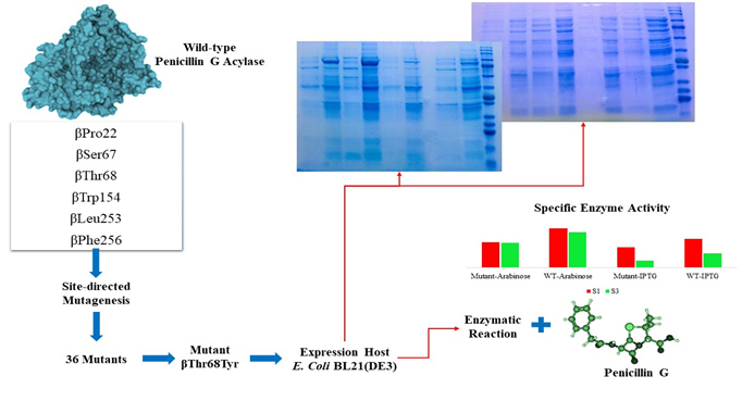 Graphical Abstract